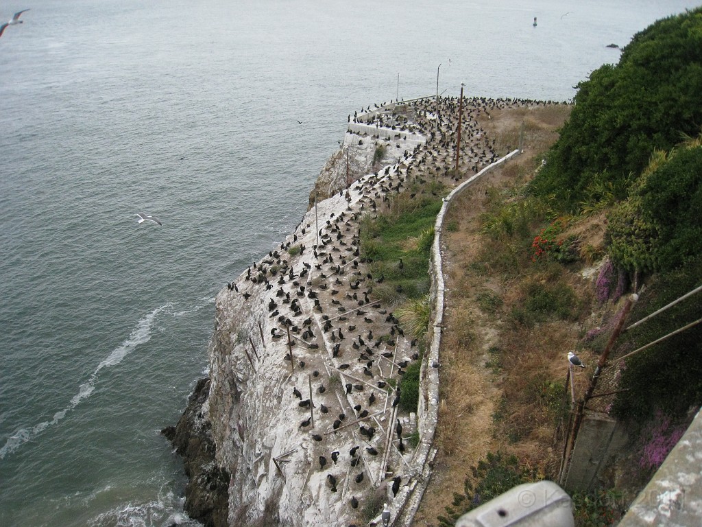 2011 Bay 2 Breakers Saturday 0755.JPG - I was able to participate in the 2011, 100th anniversary of the San Francisco Bay to Breakers 12K race. A great weekend for sight seeing and racing.